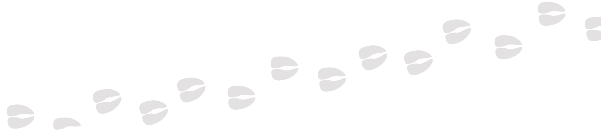 animal hooves